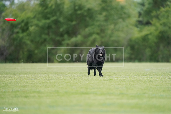 RielVisuals_20240525_164914_SJR05503