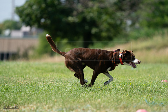 RielVisuals_20240728_151009_SJR00203