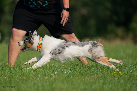 RielVisuals_20240727_092231_SJR06076