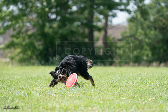 RielVisuals_20240728_143236_SJR08497