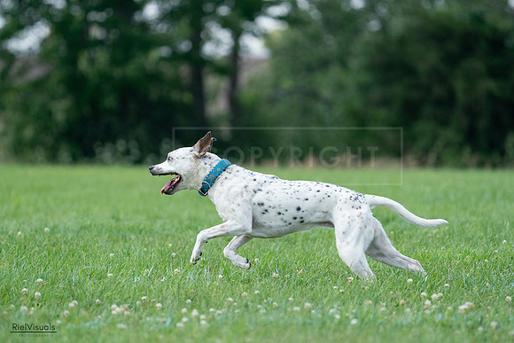 RielVisuals_20240727_145137_SJR01428