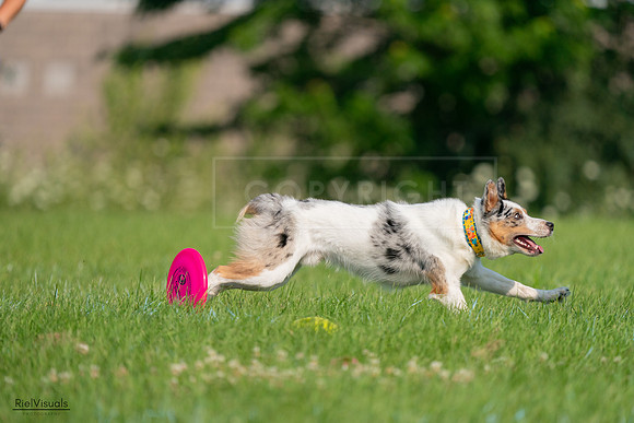 RielVisuals_20240727_092212_SJR06019