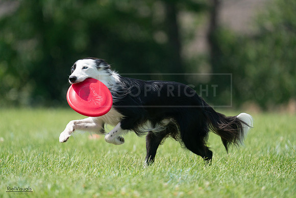 RielVisuals_20240728_142052_SJR08074