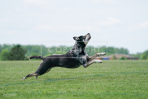 RielVisuals_20240525_123051_SJR00078
