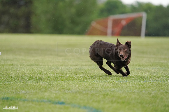 RielVisuals_20240526_091058_SJR09411