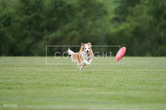 RielVisuals_20240525_170751_SJR06136