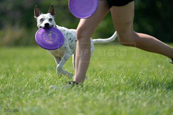 RielVisuals_20240728_151542_SJR00427
