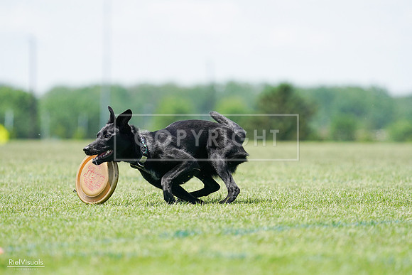 RielVisuals_20240525_122459_SJR09774
