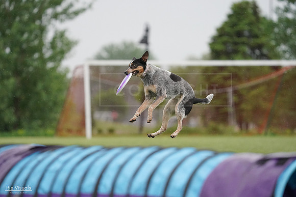 RielVisuals_20240526_091720_SJR09564