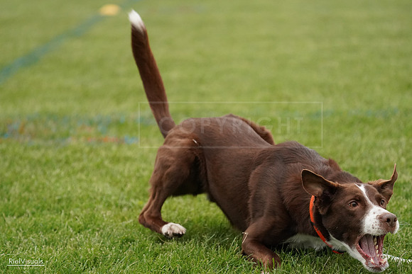 RielVisuals_20240526_131255_SJR07160