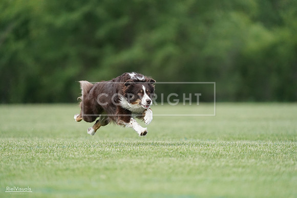 RielVisuals_20240525_090325_SJR09444