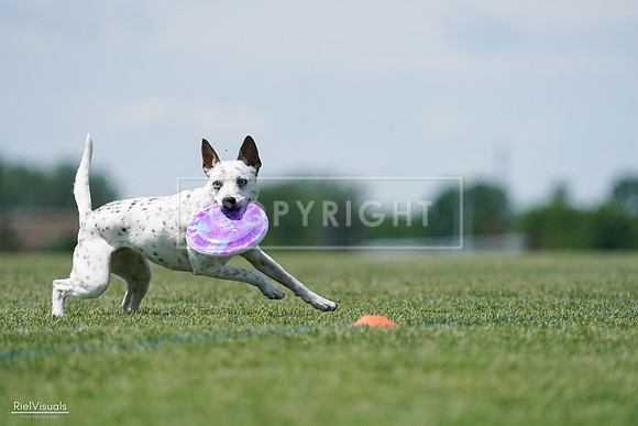 RielVisuals_20240525_120307_SJR08420