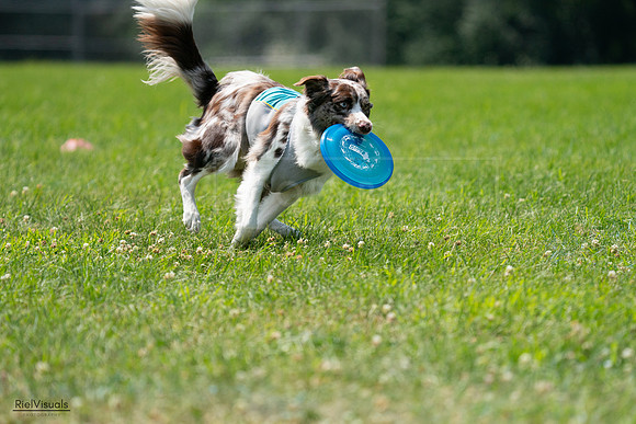 RielVisuals_20240728_131141_SJR05380
