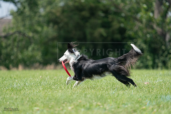 RielVisuals_20240728_142103_SJR08090