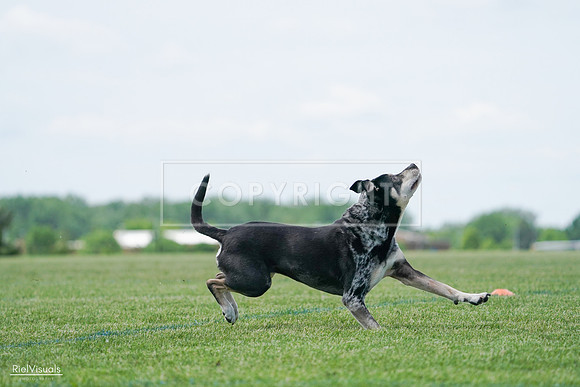 RielVisuals_20240525_123051_SJR00080