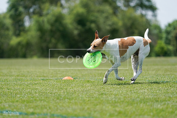 RielVisuals_20240525_121753_SJR09357