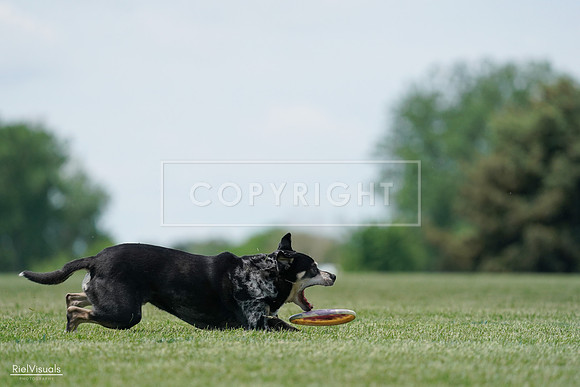 RielVisuals_20240525_123103_SJR00116