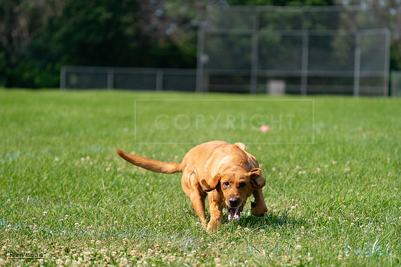 RielVisuals_20240728_104042_SJR08871
