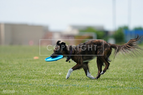 RielVisuals_20240525_124029_SJR00754