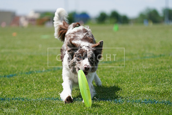 RielVisuals_20240525_120613_SJR08684