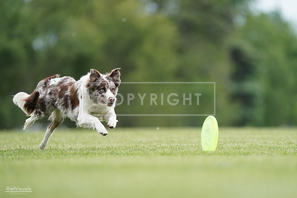 RielVisuals_20240525_161120_SJR03755