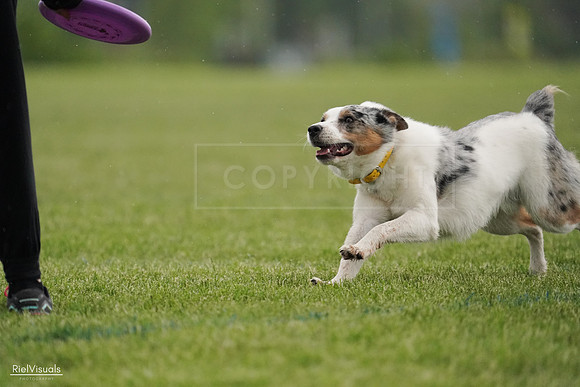 RielVisuals_20240526_092934_SJR00196