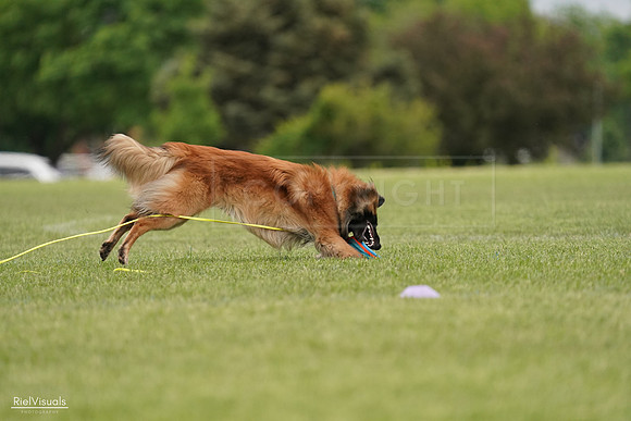 RielVisuals_20240526_134723_SJR09066