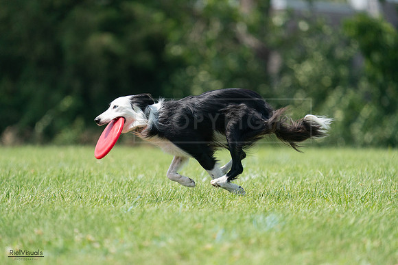 RielVisuals_20240728_142136_SJR08129