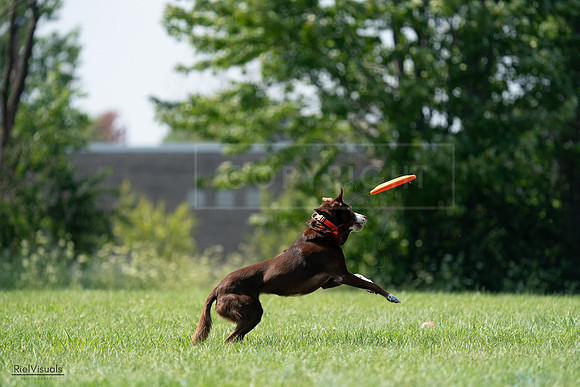 RielVisuals_20240728_151025_SJR00213