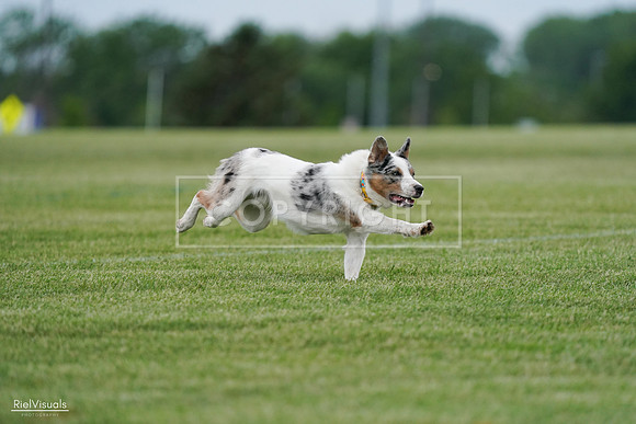 RielVisuals_20240525_165224_SJR05624