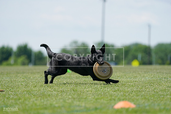 RielVisuals_20240525_122515_SJR09809