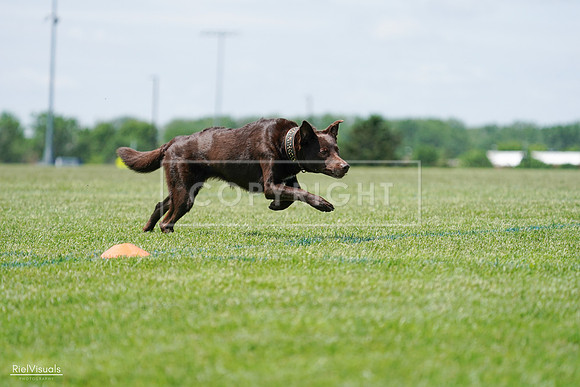RielVisuals_20240525_120831_SJR08857
