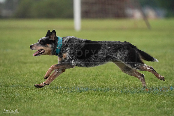 RielVisuals_20240527_092449_SJR07277