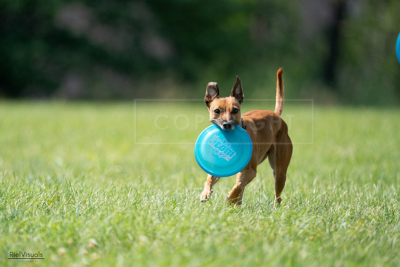 RielVisuals_20240728_150156_SJR09844