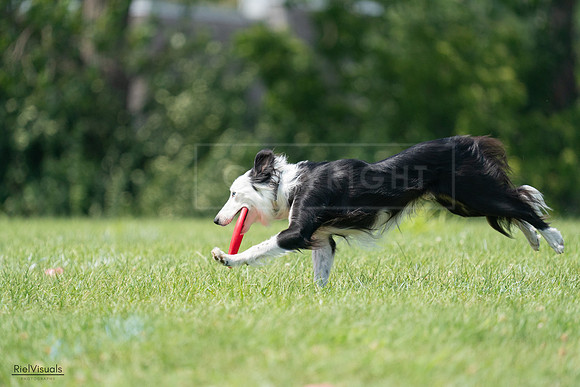 RielVisuals_20240728_142136_SJR08126