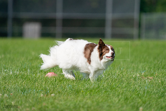 RielVisuals_20240728_102058_SJR07856
