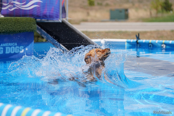 SJR06355