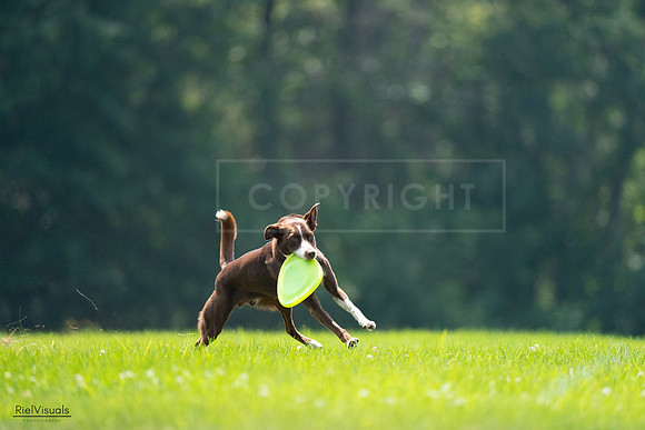 RielVisuals_20240727_123201_SJR05755