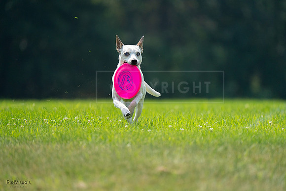 RielVisuals_20240727_120958_SJR04901