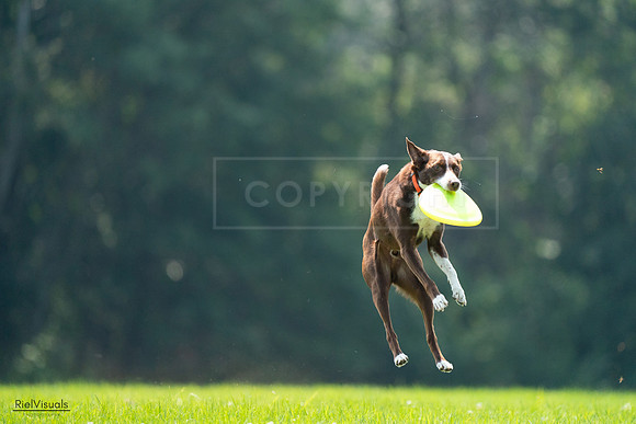 RielVisuals_20240727_121055_SJR04926