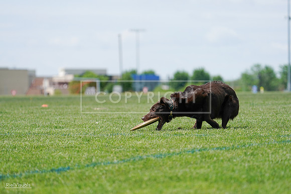 RielVisuals_20240525_120848_SJR08899