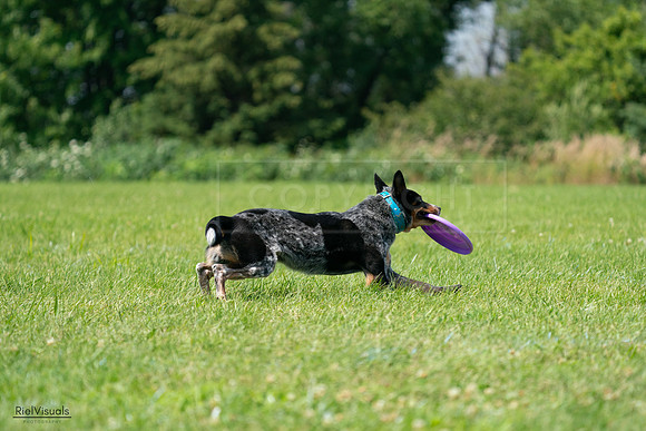 RielVisuals_20240728_121405_SJR03337