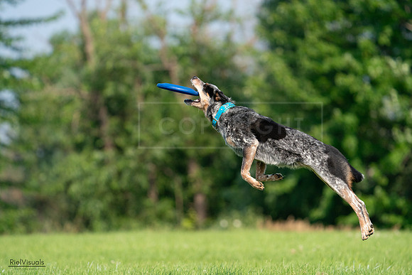 RielVisuals_20240727_094814_SJR07567