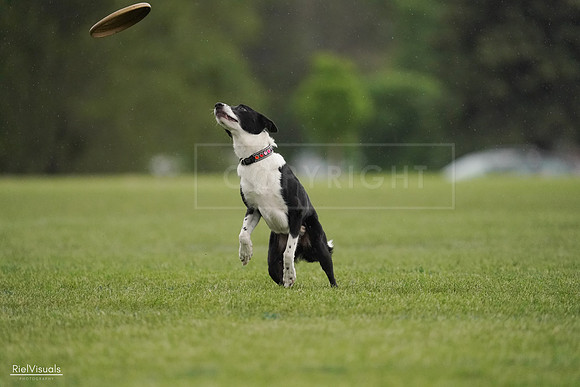 RielVisuals_20240526_093425_SJR00433