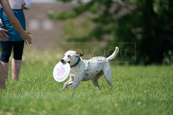 RielVisuals_20240727_134712_SJR08540