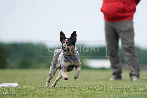 RielVisuals_20240525_125129_SJR01358