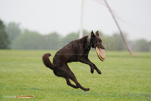 RielVisuals_20240527_104028_SJR01088