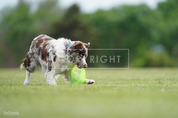 RielVisuals_20240525_161121_SJR03766