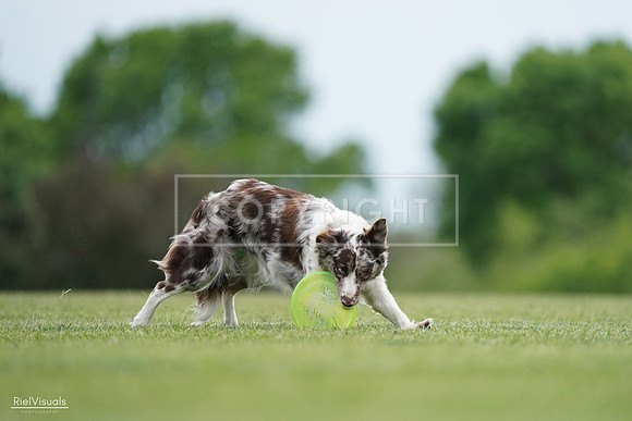 RielVisuals_20240525_161058_SJR03704