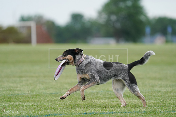 RielVisuals_20240525_170114_SJR05898